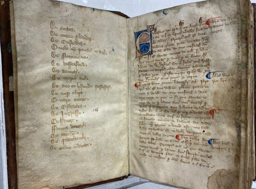 Medieval Manuscript Surveillance — Written Control in the Middle Ages Medieval manuscript page with dense Latin administrative script — church records, parish registers, and legal documents formed medieval Europe's ancient surveillance infrastructure
