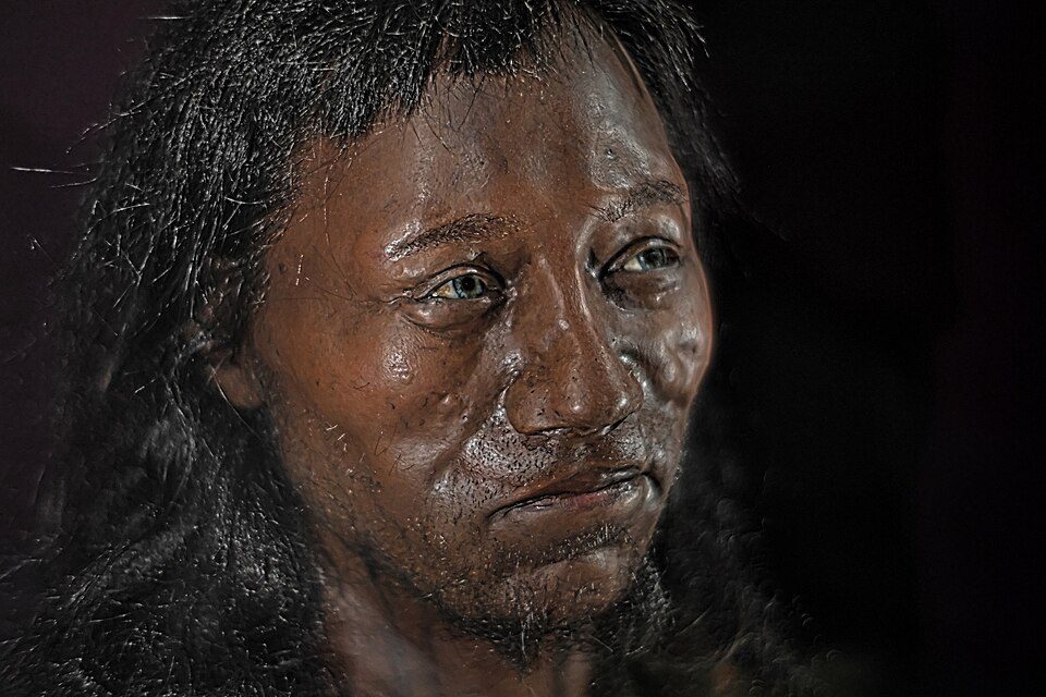 Facial reconstruction of Cheddar Man on display at the Natural History Museum in London