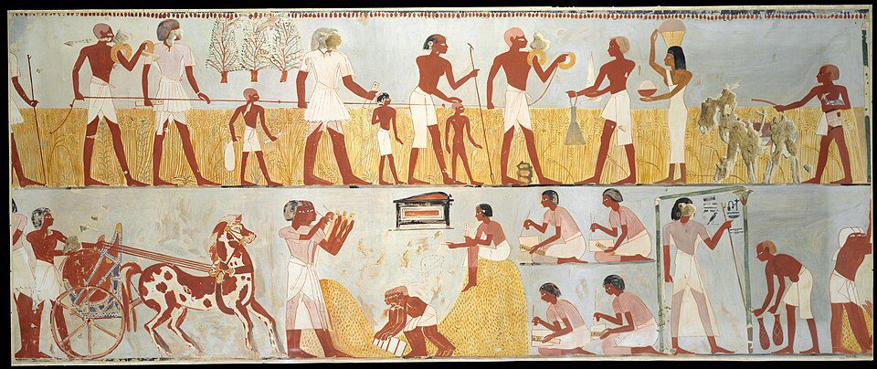 Historical agricultural and surveying scenes from the Tomb of Menna