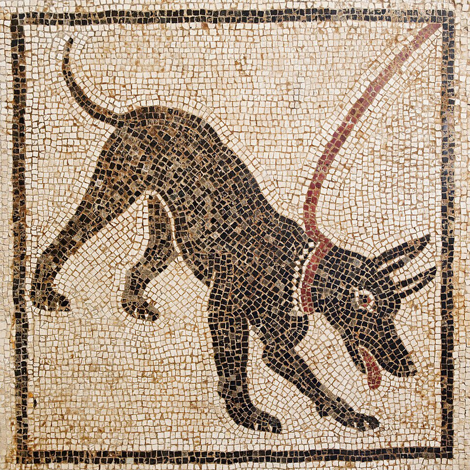 Pompeii Cave Canem Beware of Dog mosaic in Naples Museum