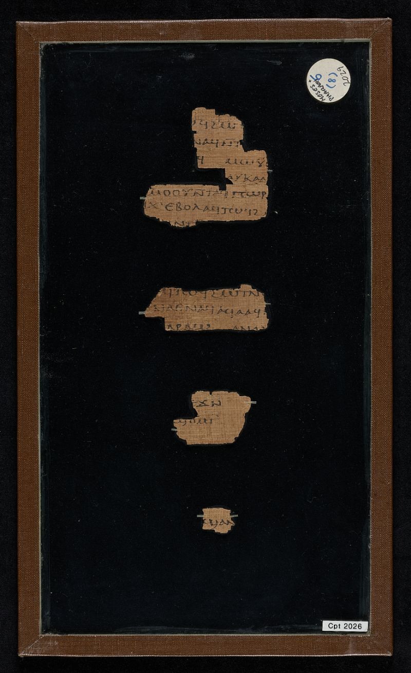 Ancient papyrus fragments from the Crosby-Schøyen Codex