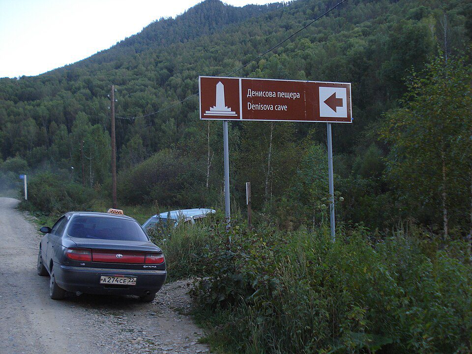 Denisova Cave Archaeological Site Denisova Cave archaeological excavation site entrance in the Altai Mountains of Siberia, yielding paleogenomic breakthroughs
