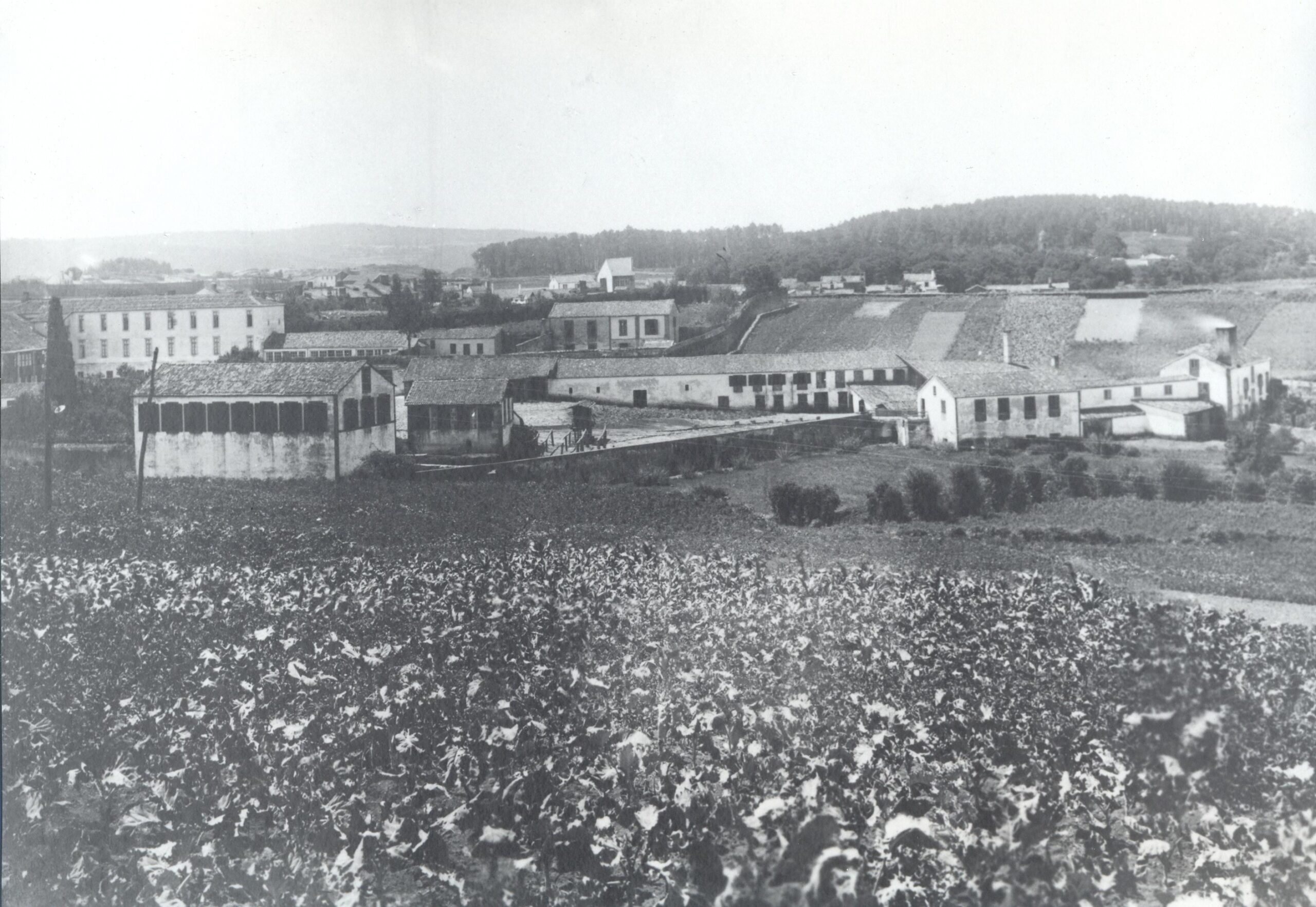 19th-century industrial leather factory showing historic manufacturing buildings