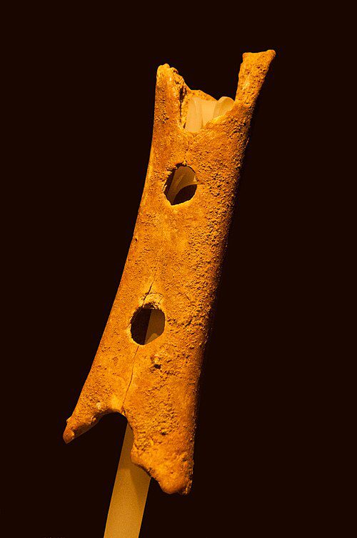 Fragment of a cave bear femur bone with circular holes, believed by some researchers to be a Neanderthal flute