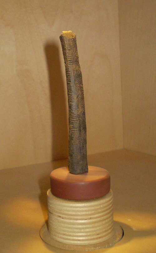 Dark fossilized bone tool with a quartz tip, featuring columns of carved notches