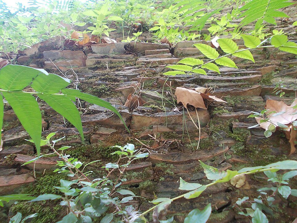 A close-up view of the densely packed, broken ceramic shards comprising Monte Testaccio.